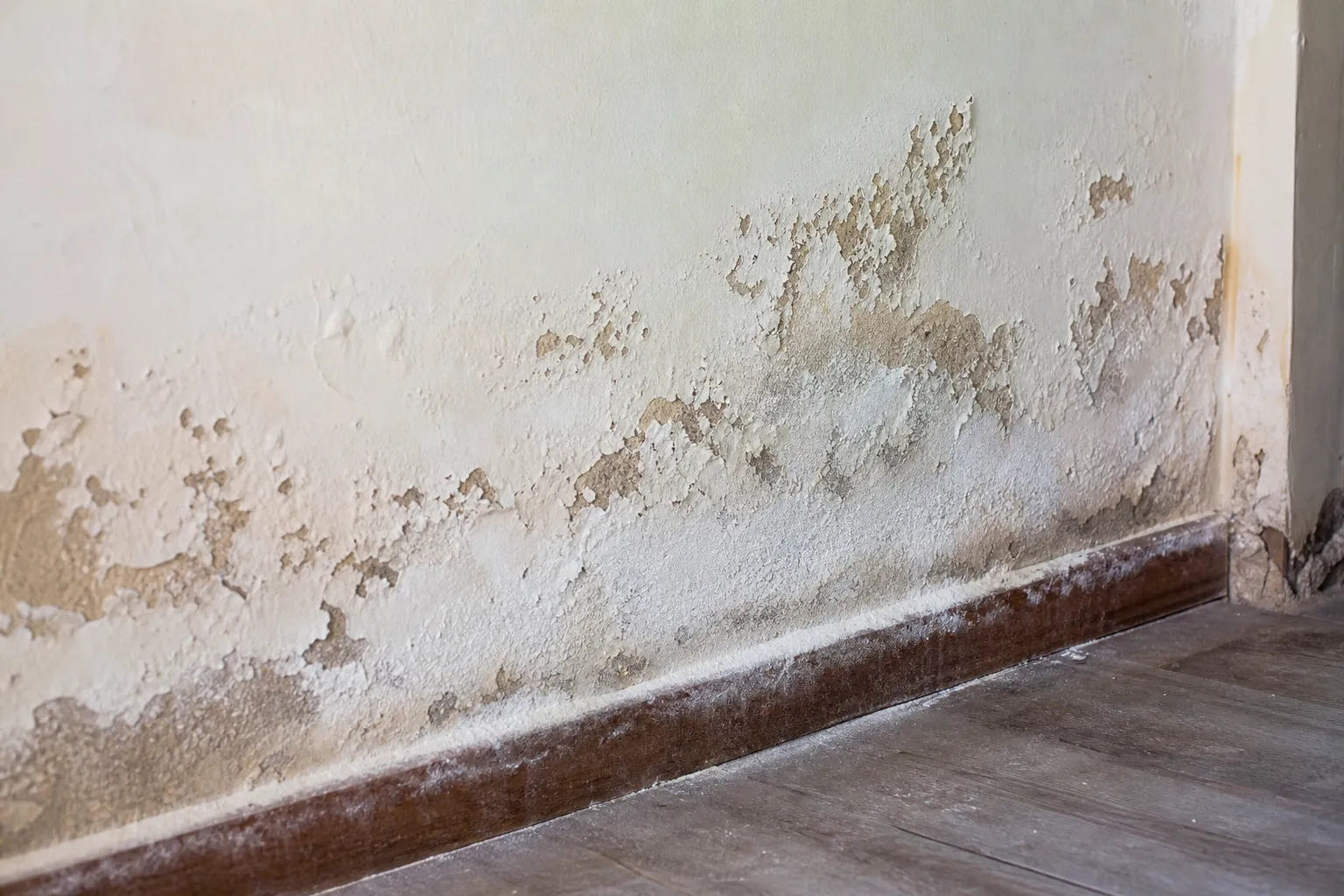 Remontées capillaires et dépôt de salpêtre en bas d'un mur dans le Val-d'Oise (95)